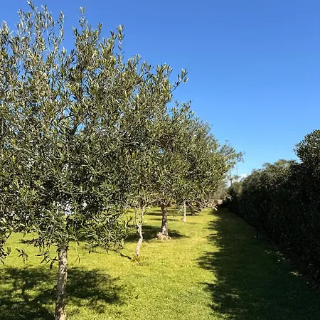 La Corte Degli Ulivi Nocleg ze śniadaniem 3*
